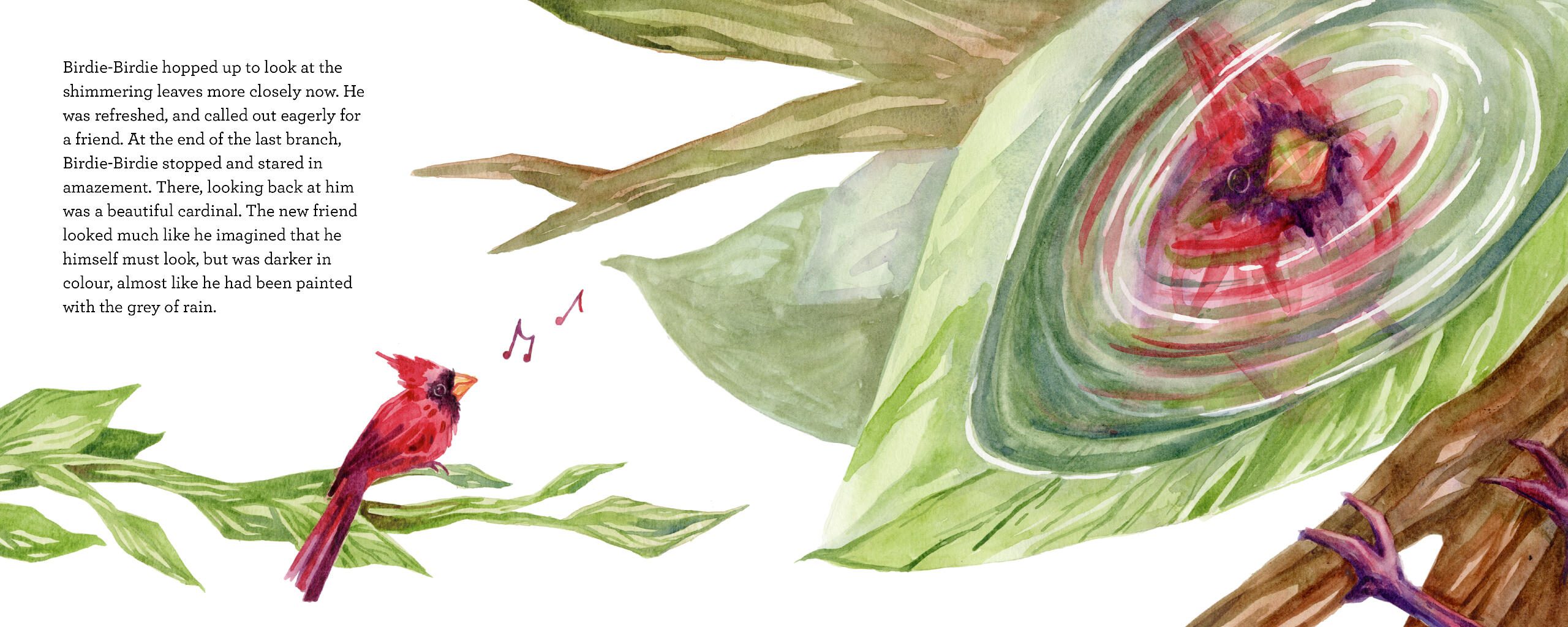 On the left a cardinal sits on a long branch surrounded by music notes. On the right is a full page illustration looking down into a puddle in a leaf. The reflection of a cardinal looks back, both real and surreal.